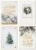 Hallmark Boxed Christmas Cards Assortment, White and Gold (40 Cards and Envelopes)